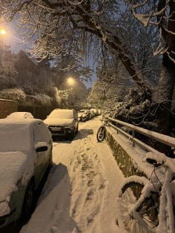 schnee (10) schnee (10)