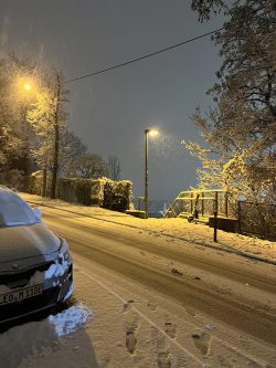 schnee (14) schnee (14)