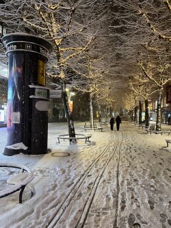 schnee (2) schnee (2)