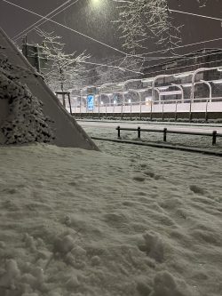 schnee (5) schnee (5)