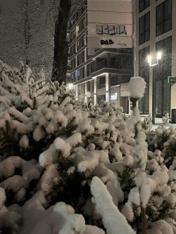 schnee (6) schnee (6)