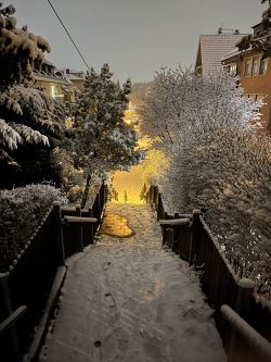 schnee (8) schnee (8)