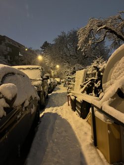 schnee (9) schnee (9)